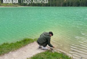 Tiago Almeida Lança 'Madeira': Um Retrato de Sonhos e Saudade